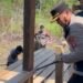 Polres Tarakan Berama Tim Gabungan Tertibkan Arena Judi Sabung Ayam
