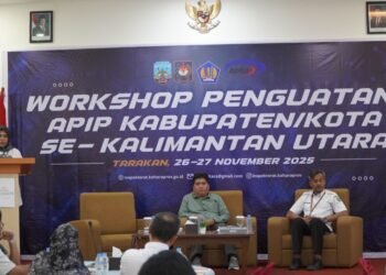 Workshop Penguatan APIP, Tingkatkan Kapabilitas Pengawasan Program Strategis Nasional dan Daerah