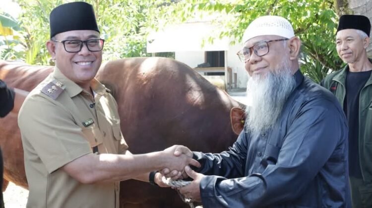 Jelang Idul Adha, Pemkot Tarakan Salurkan Bantuan Hewan Kurban untuk Masyarakat